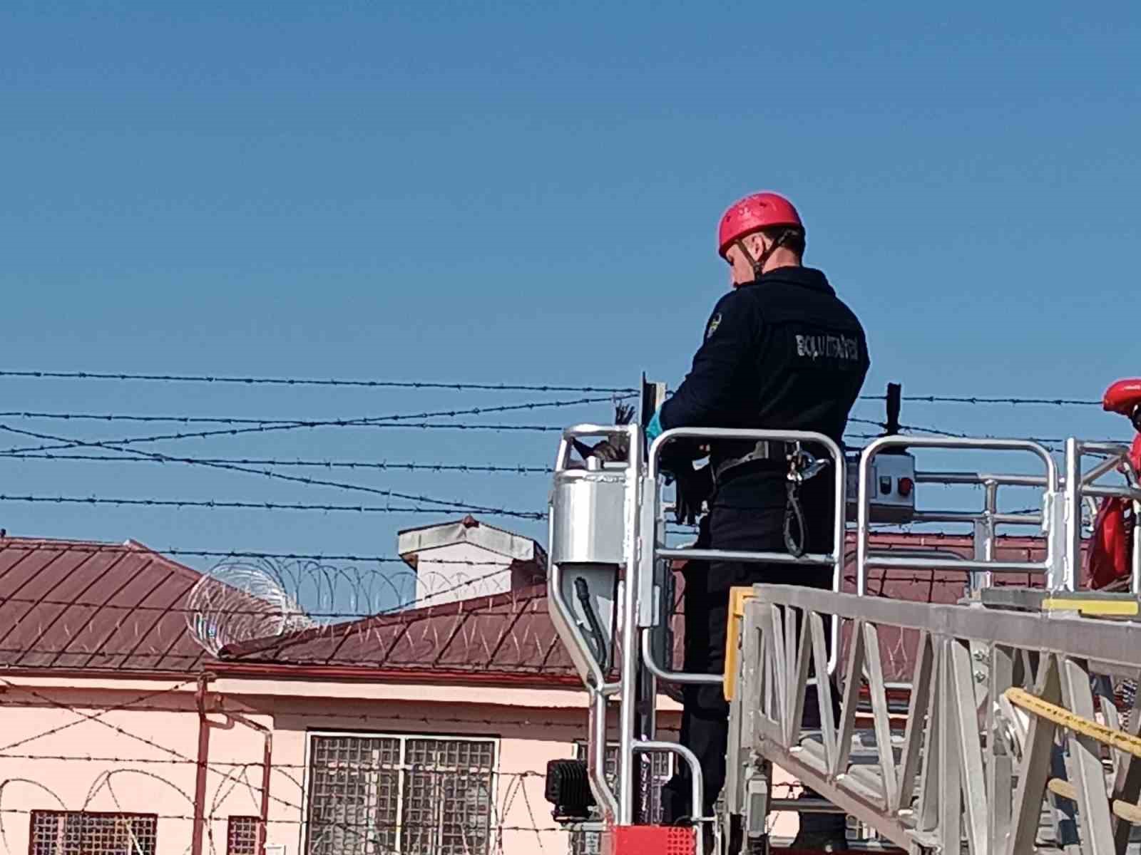 Bahçe tellerine takılan kargayı itfaiye kurtardı
