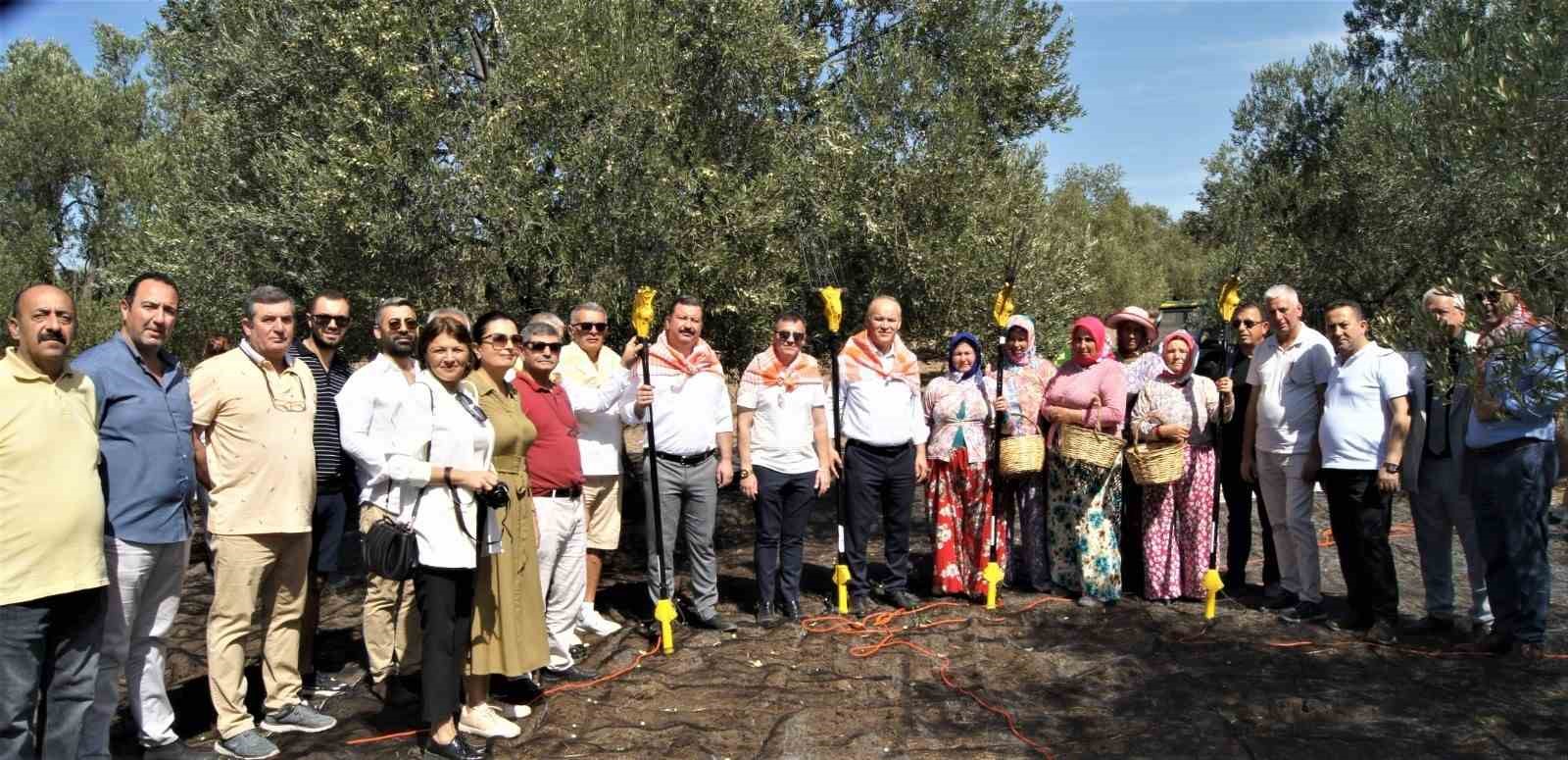 MHP Balıkesir Milletvekili Ekrem Gökay Yüksel zeytin hasat coşkusuna katıldı