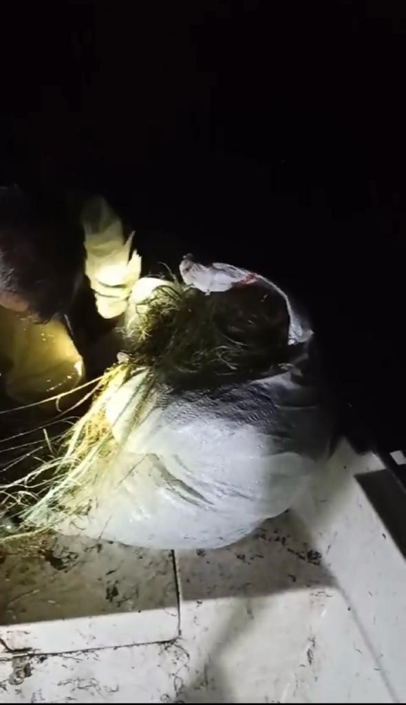 Kovada Gölü’nde bin 400 metre fanyalı ağ ele geçirildi