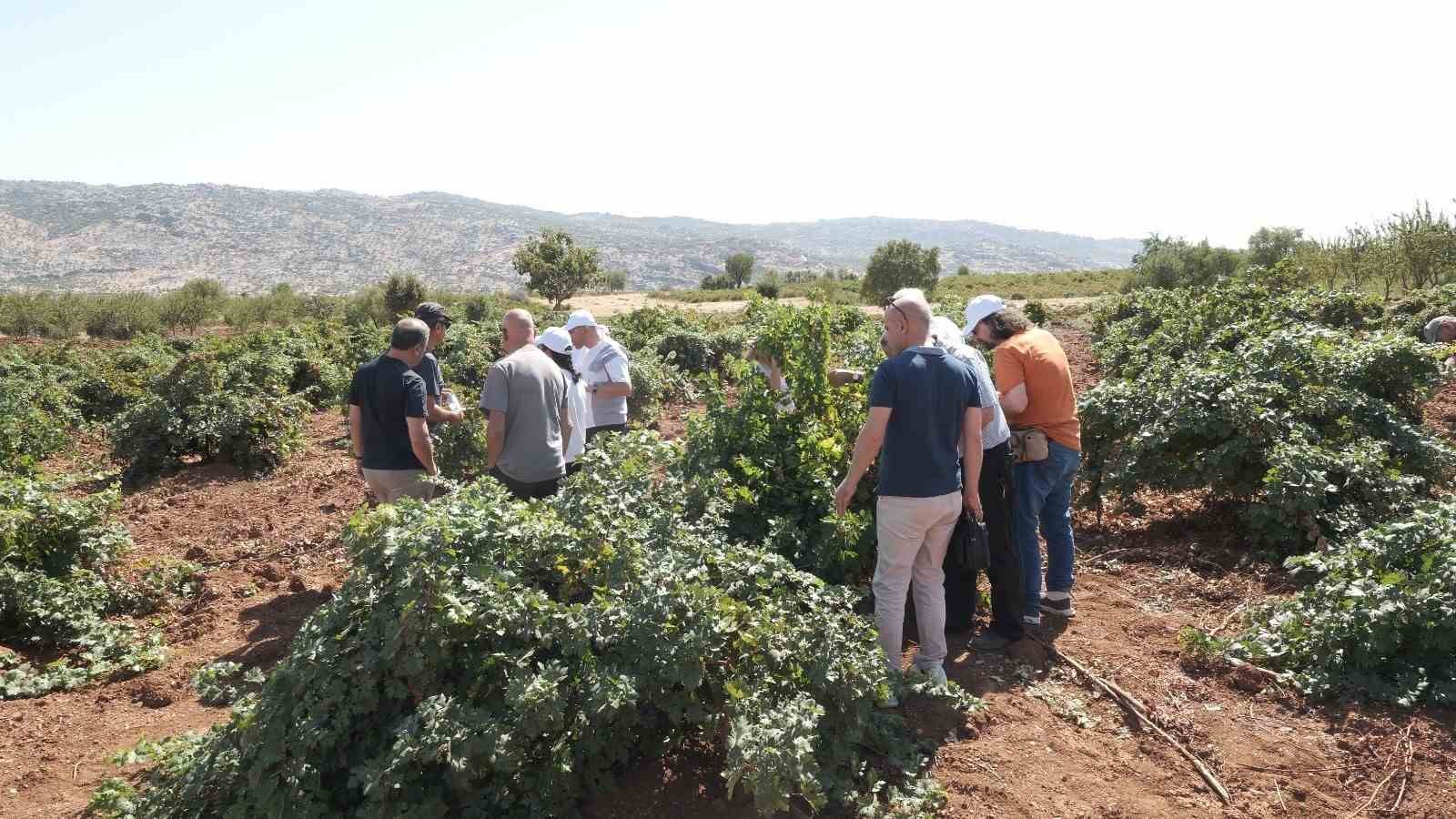 DTSO’dan 5 ilçeyi kapsayan üzüm ve peynir rotası
