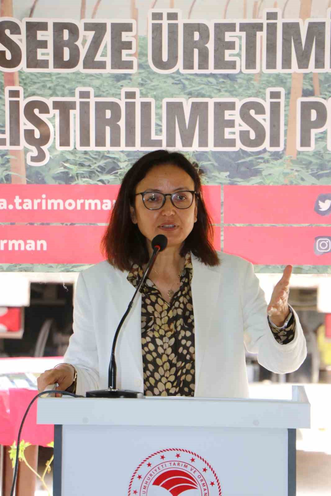 Yalova&rsquo;da &ccedil;ift&ccedil;ilere 490 bin adet sebze fidesi dağıtıldı
