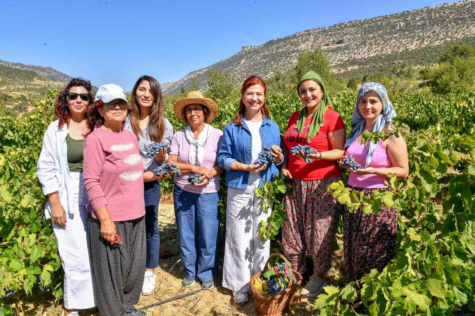 Mersin’de patkara üzüm hasadı yapıldı
