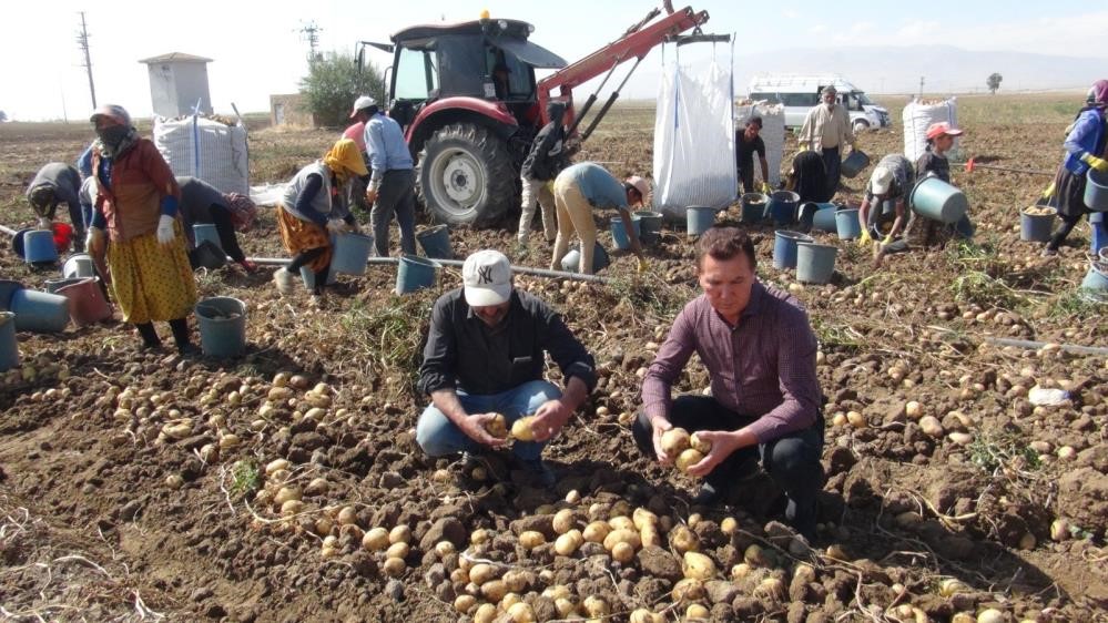 Niğde&rsquo;de patates iş&ccedil;ilerinin &uuml;creti belli oldu

