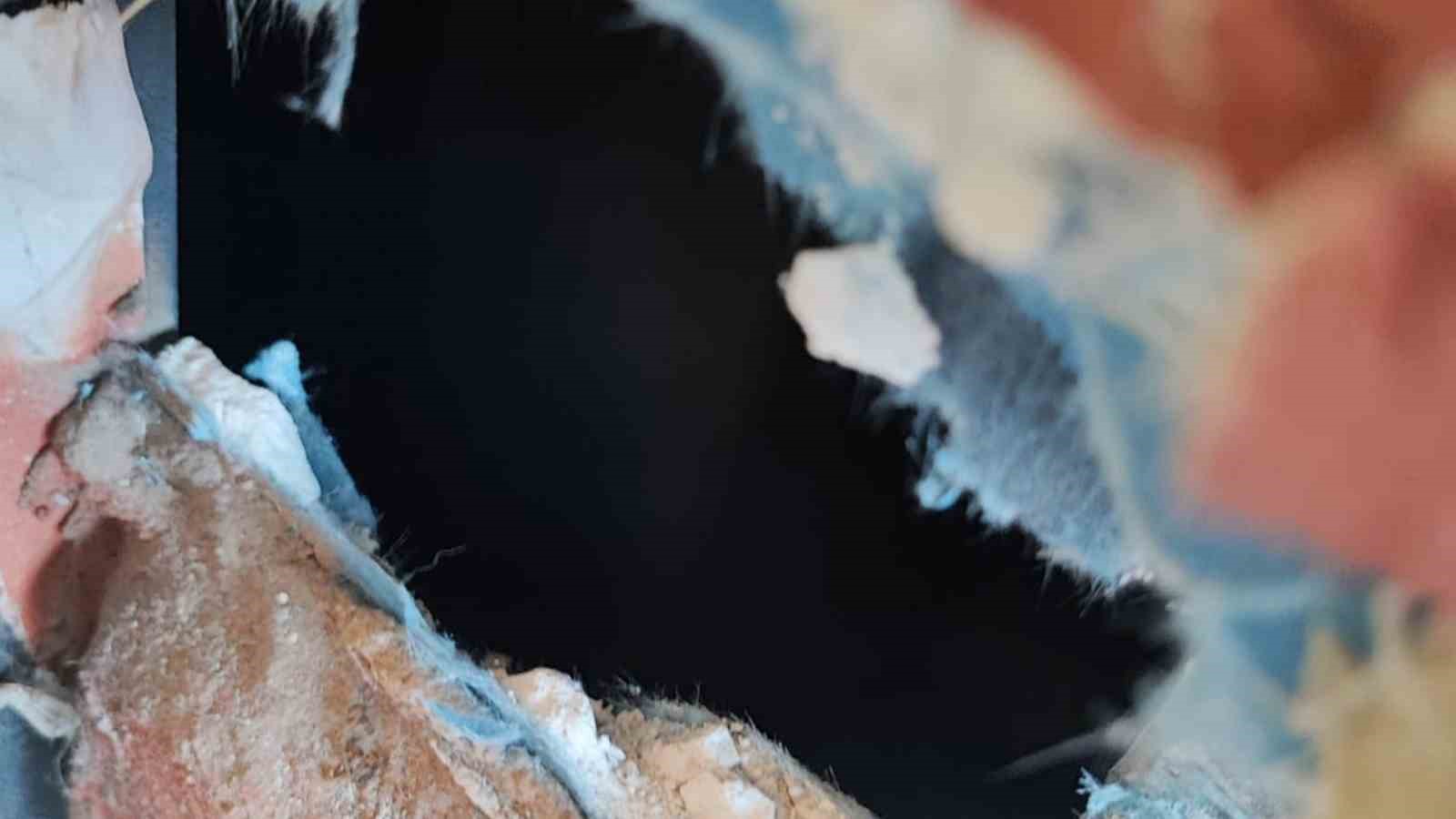 Dekoratif tuğla kolonun i&ccedil;inden yavru kedi &ccedil;ıktı
