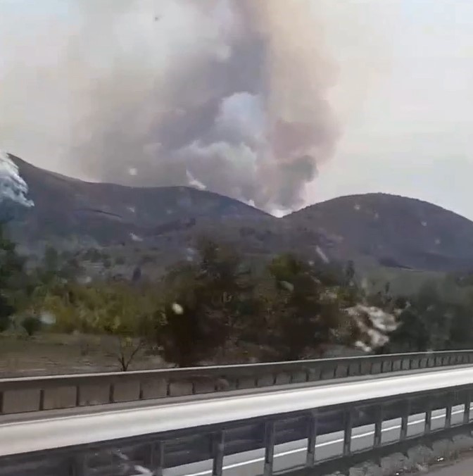 &Ccedil;ankırı&rsquo;da orman yangını kontrol altına alındı 