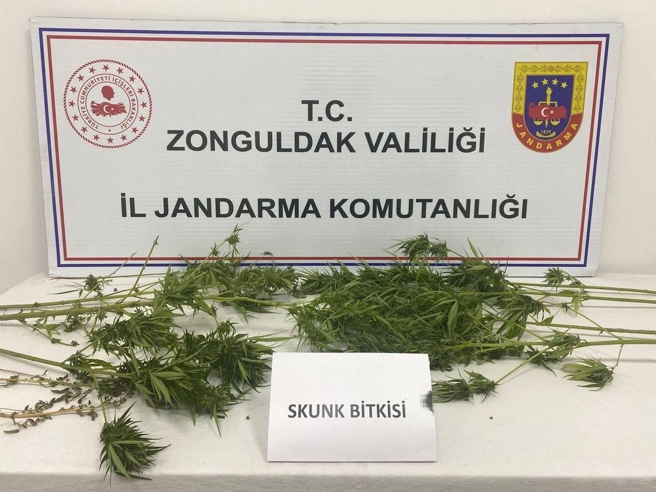 Zonguldak’ta uyuşturucu operasyonu