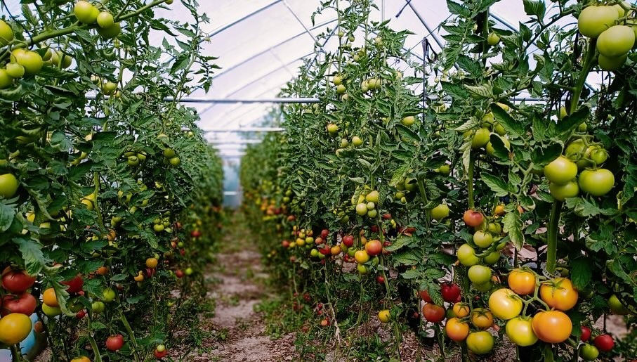 Vali Eldivan, Bayburt Eko-K&ouml;y&rsquo;de incelemelerde bulundu
