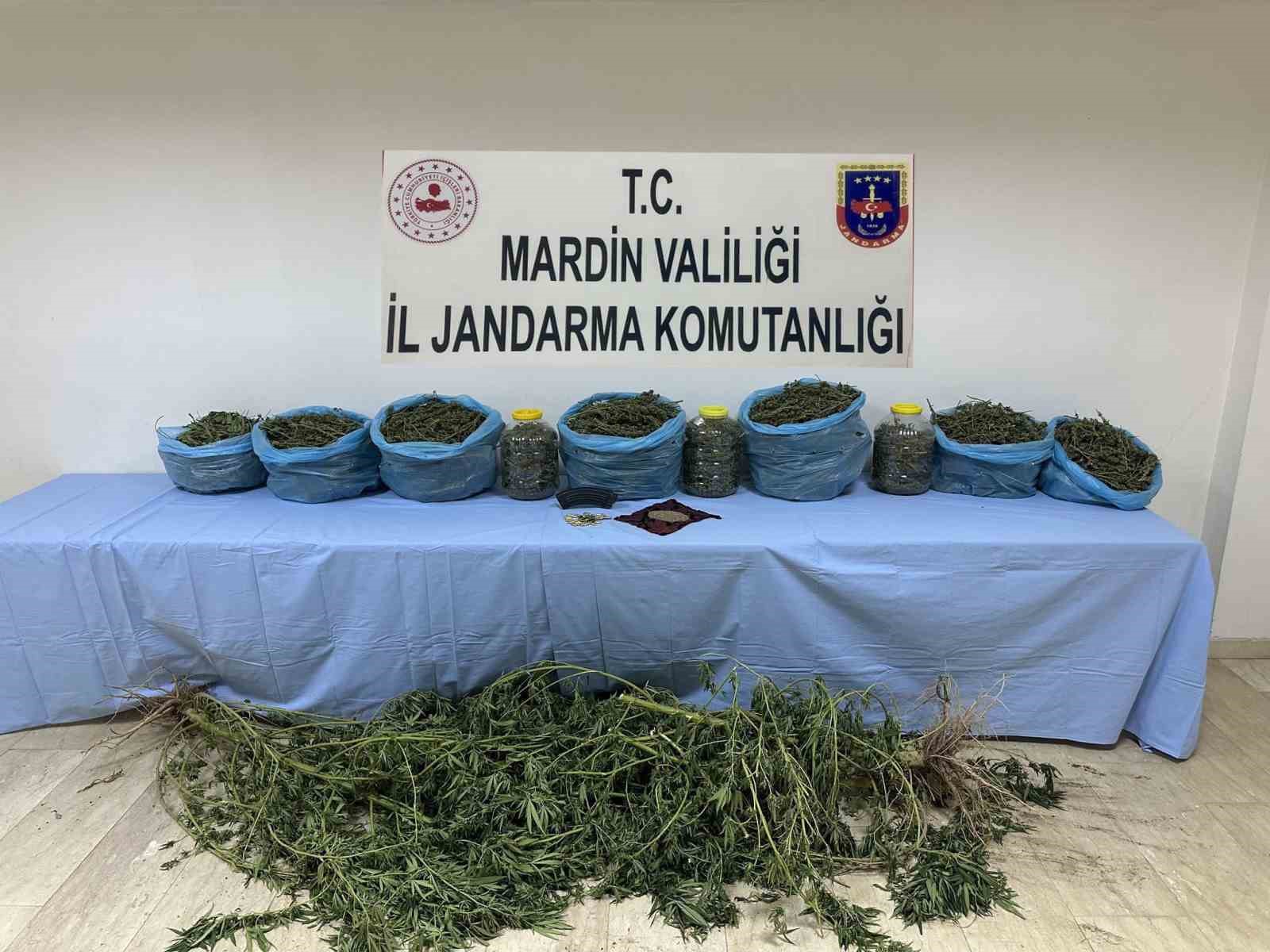 Mardin’de uyuşturucu operasyonunda 1 tutuklama