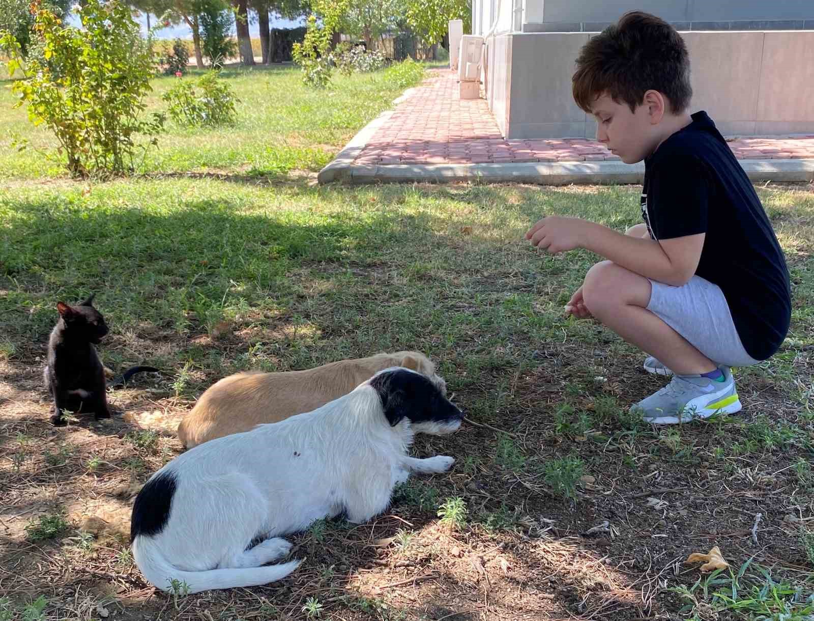 Kedi ve k&ouml;peğin &ouml;rnek dostluğu
