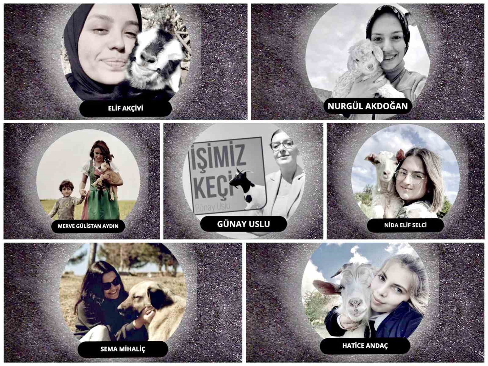 İnegöl’de küçükbaş hayvancılık festivali başlıyor