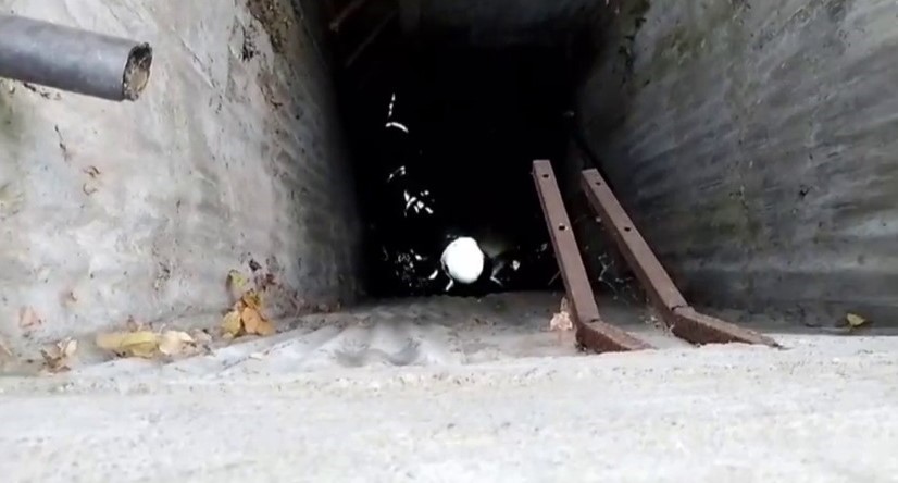 7 metre derinliğindeki kuyuya d&uuml;şt&uuml;, itfaiye kurtardı
