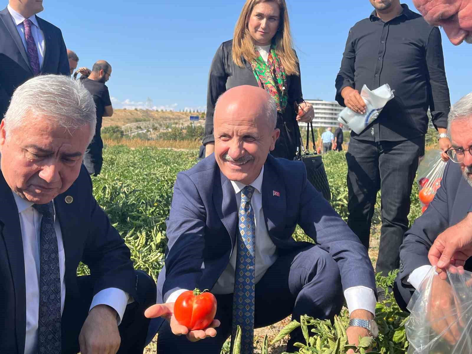 Ankara Keçisi ve Tiftik Uygulama ve Araştırma Merkezi açıldı
