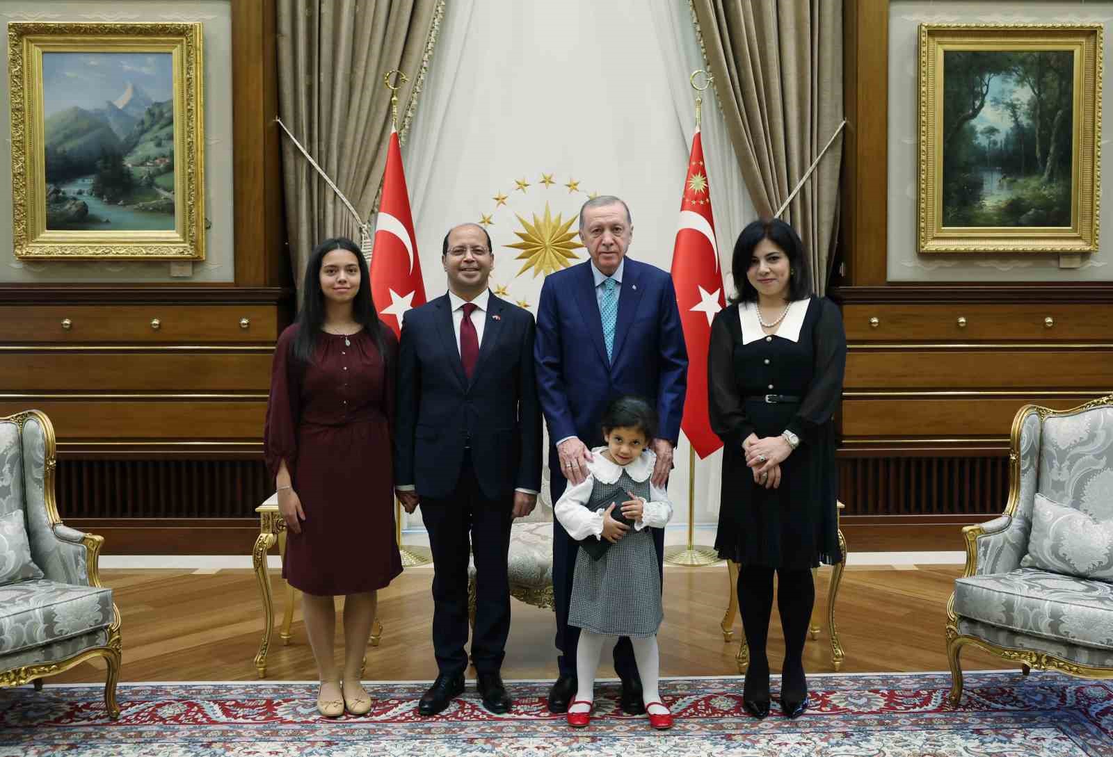 Cumhurbaşkanı Erdoğan, Mısır Büyükelçisi Amr El Hamamy’i kabul etti
