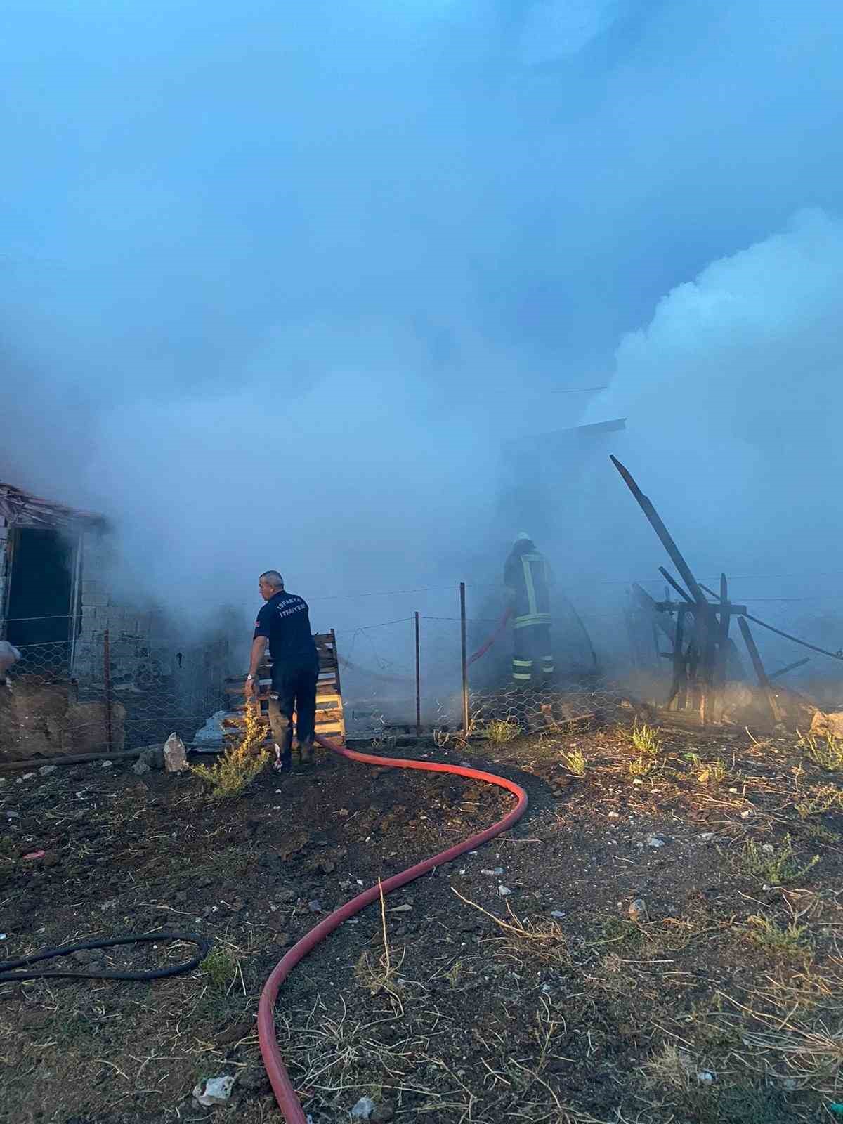 Isparta&rsquo;da 500 balya saman yandı

