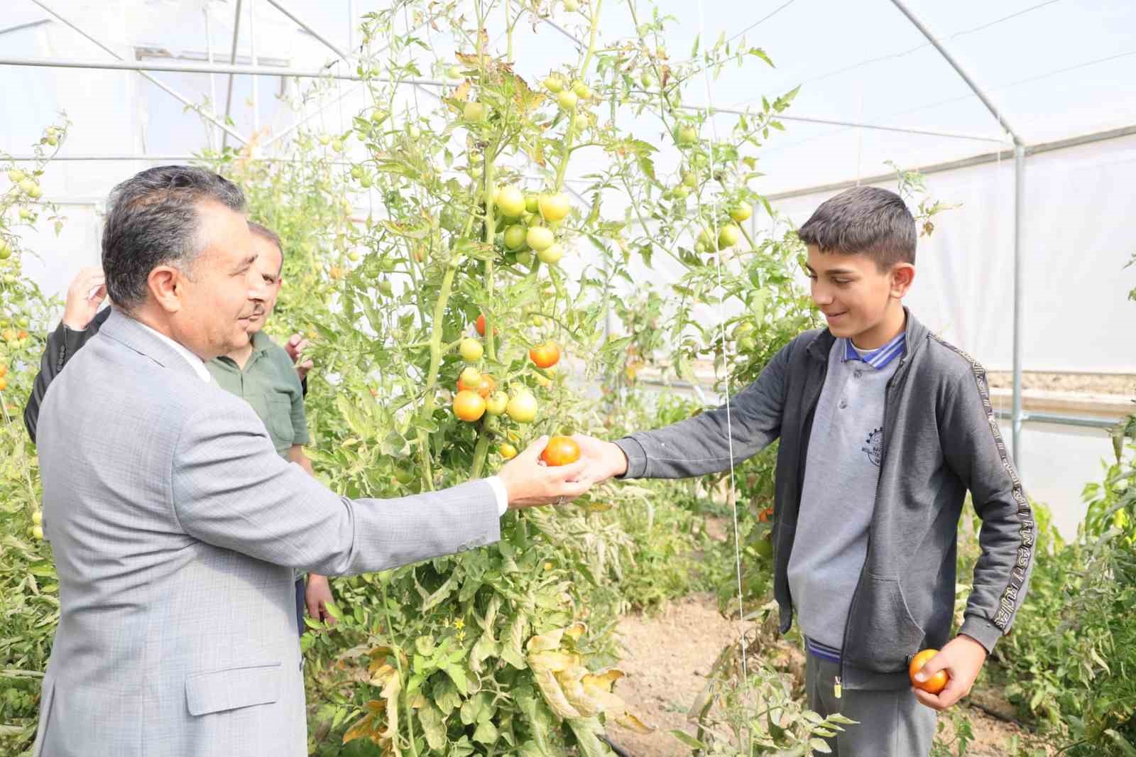 Mesleki ve Teknik Anadolu Lisesinde ilk hasat şenliği