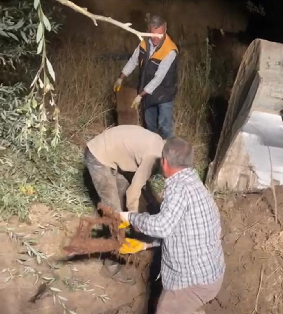 Su borusundan &ccedil;ıkan ağa&ccedil; k&ouml;klerini yılan zannettiler
