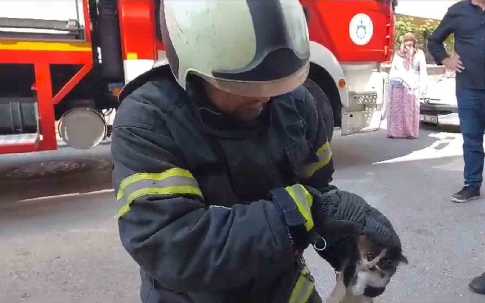 Lavaboya sıkışan yaramaz kedi böyle kurtarıldı