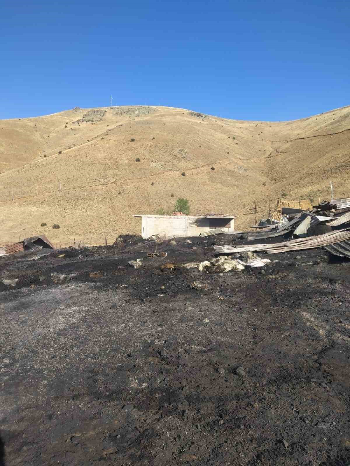 Oflu ile Bayburtlu’nun fıkraları aratan ’tehlikeli’ çekişmesi
