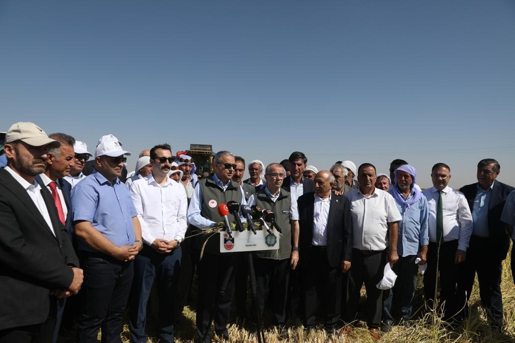 Tescilli Karacadağ pirincinin hasadına başlandı