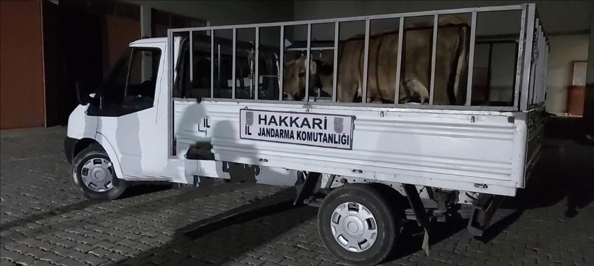 Hakkari’de 49 şüpheli hakkında işlem yapıldı