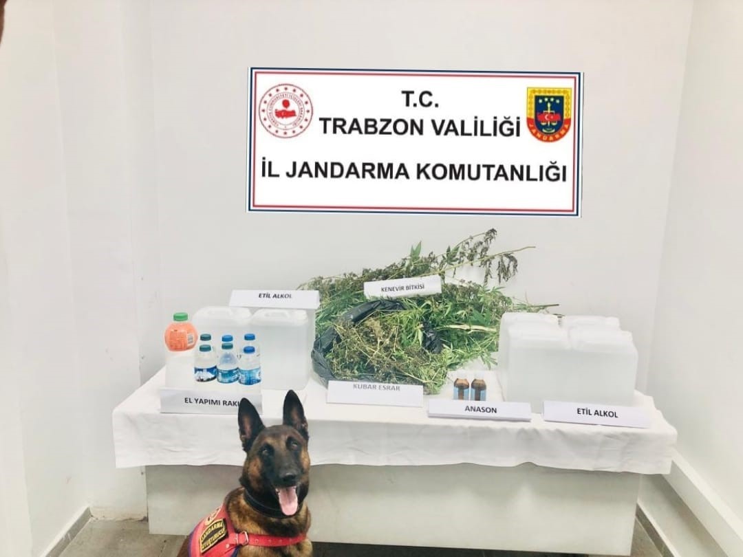 Baskın yapılan evin her odasından saksılarda kenevir &ccedil;ıktı
