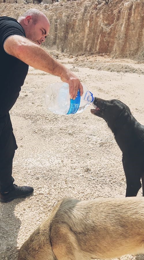 Otomobilindeki 5 litre suyu köpeklere elleriyle içirdi, duygusal anlar yaşandı