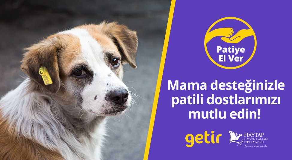 Getir’den hayvan barınaklarına 1,5 milyon kap mama
