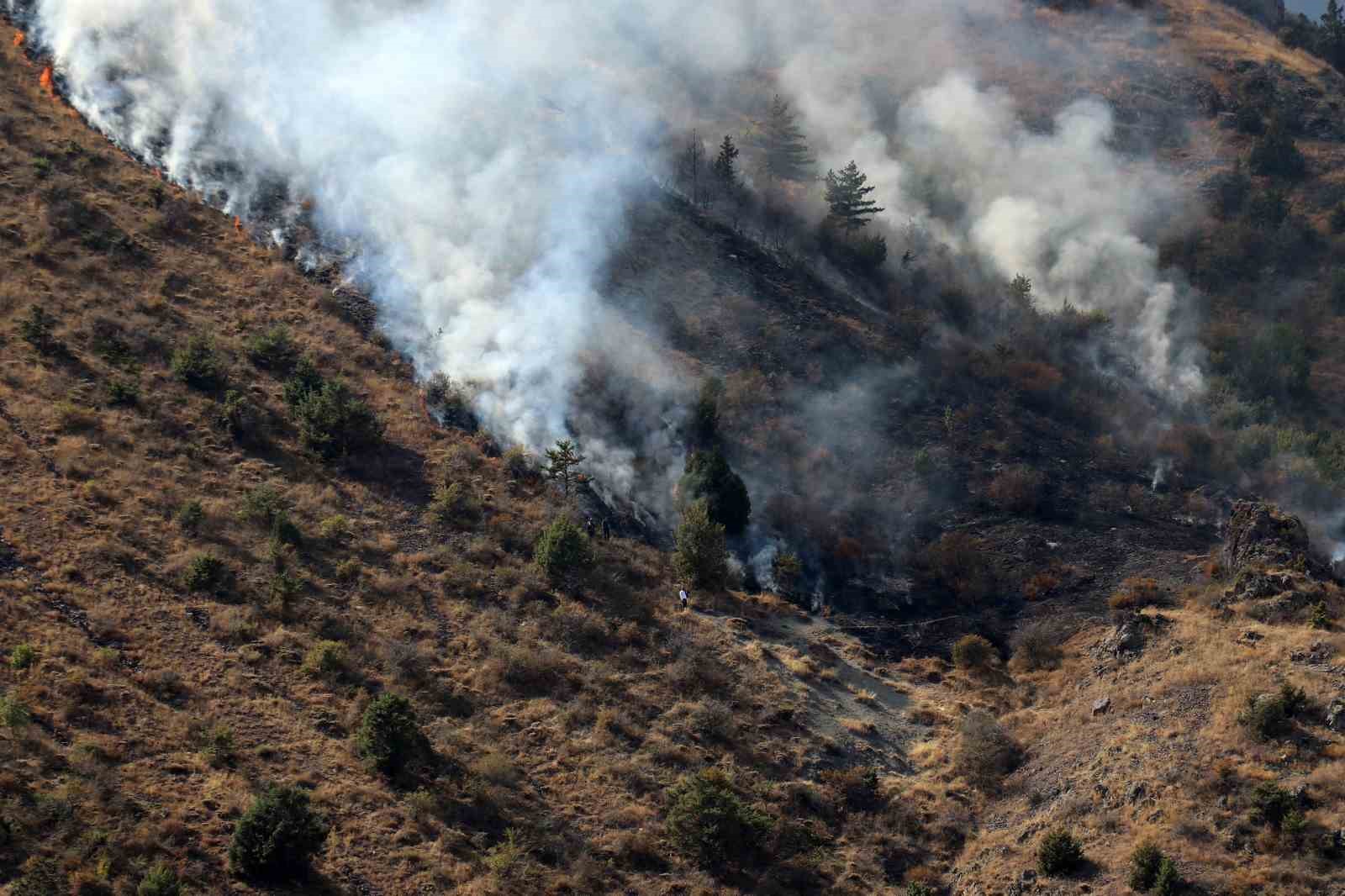 G&uuml;m&uuml;şhane&rsquo;de &ouml;rt&uuml; yangını: 2 hektarlık alan k&uuml;le d&ouml;nd&uuml;

