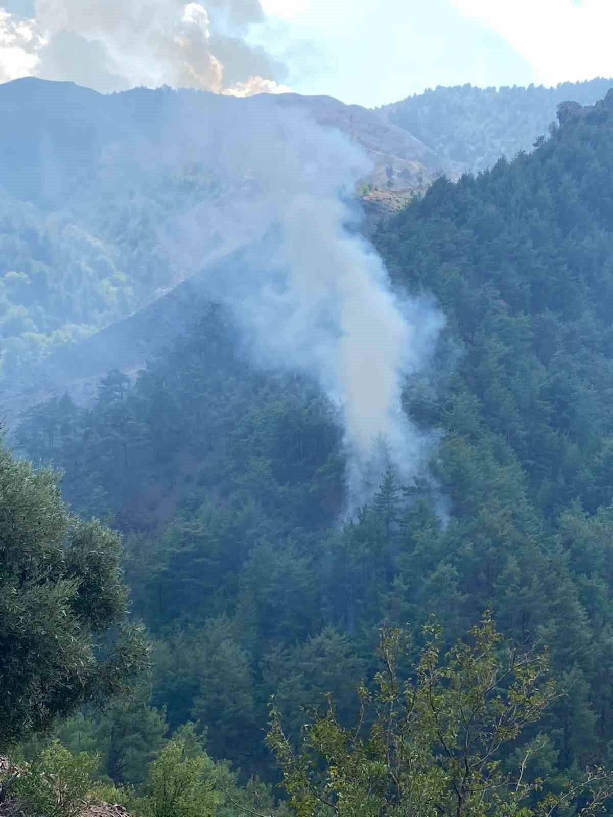 Adana’da orman yangınları kontrol altına alındı