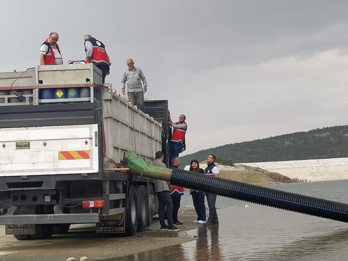Kastamonu'da göletlere 1 milyon balık salındı