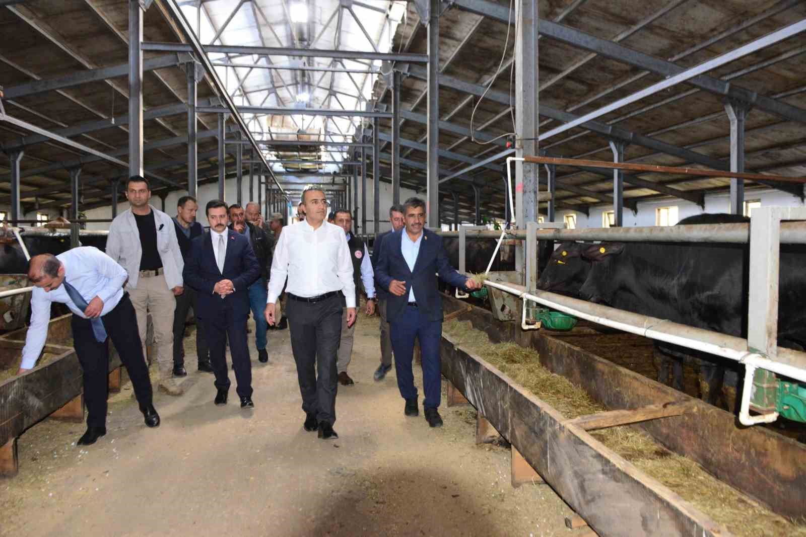 Vali &Ccedil;i&ccedil;ek, G&ouml;le TİGEM&rsquo;de incelemelerde bulundu
