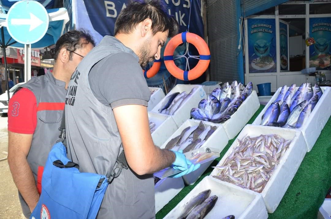 Niğde&rsquo;de Perakende Balık Satışı Yapan Yerler Denetlendi
