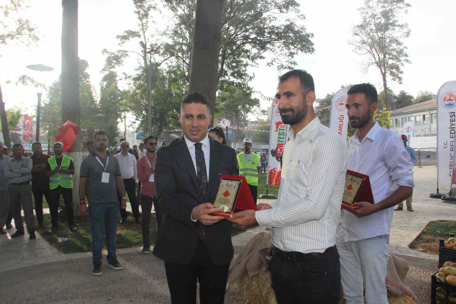 Suruç’ta “At ve Nar Festivali” renkli görüntülere sahne oldu