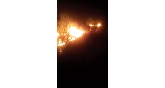 Gala Gölü Milli Parkı sazlık alanında çıkan yangın söndürüldü