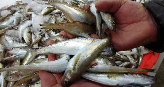 Kıyı balıkçıları, denizdeki olumsuz havadan etkileniyor