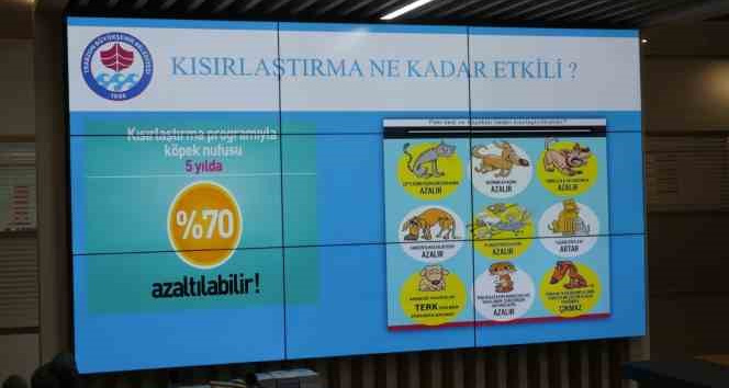 Trabzon’da başıboş köpeklerle topyekün mücadele için harekete geçildi
