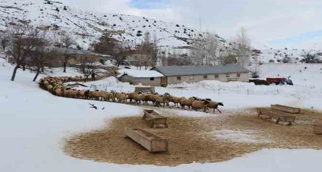 Besicilerin kış mesaisi sürüyor
