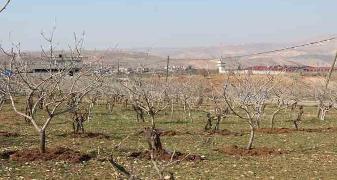 Kuraklık tedirgin ediyor: Umutlar mart ve nisan yağmurlarına kaldı