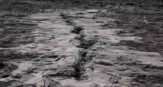 Depremle yarılan tarlalardan yüzeye su çıktı