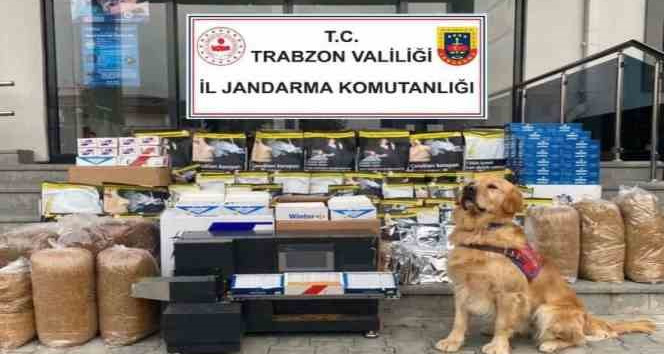 Jandarmadan kaçak sigara imalathanesine baskın