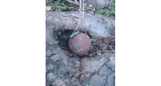 Ayvacık’ta Osmanlı döneminden kaldığı değerlendirilen 2 el bombası imha edildi