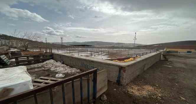 Yozgat’ta canlı hayvan pazarları tedbiren kapatıldı