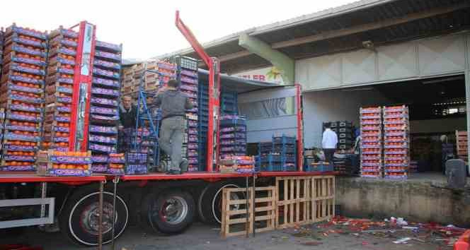 Yalova’daki meyve sebze halinden 2 ayda 5 bin 177 ton ürün çıkışı