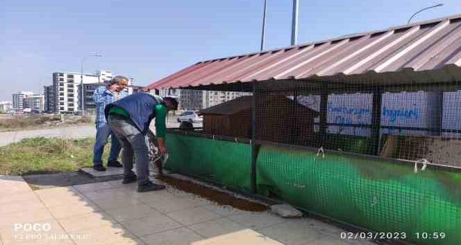 Osmaniye’de sokak hayvanlarına mama desteği