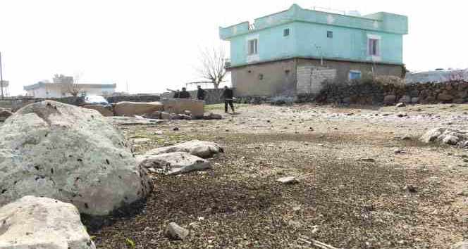 Köyleri istila eden tırtıl ile ilgili çalışmalar devam ediyor