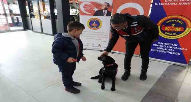Bingöl’de vatandaşlar, bağımlılık konusunda bilgilendirildi