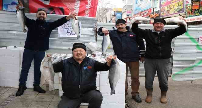 Tezgahların en pahalısı kalkan, en ucuzu ise mezgit