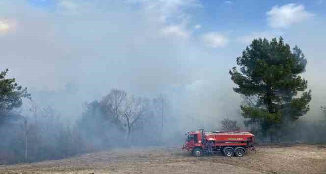 Osmaniye’de ormanlık alanda yangın çıktı