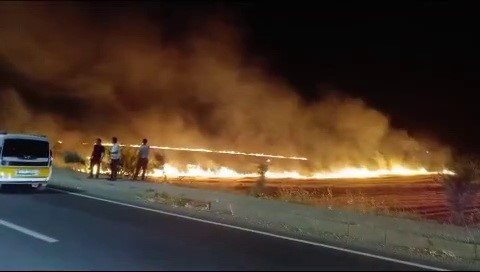 Adıyaman&rsquo;da korkutan anız yangını
