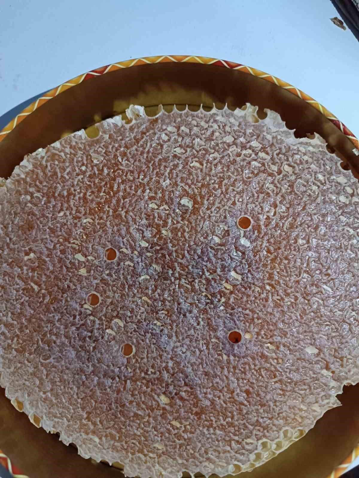 Şırnak&rsquo;ta d&ouml;rt ayrı dağın zirvesinde en tatlı hasat başladı
